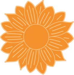 Charlottesville summer camps Field Camp